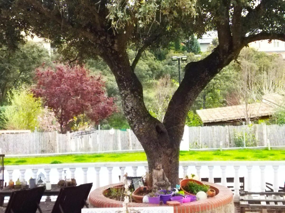 Lovely Home Nearby Madrid To Enjoy Nature Villaviciosa de Odón 外观 照片